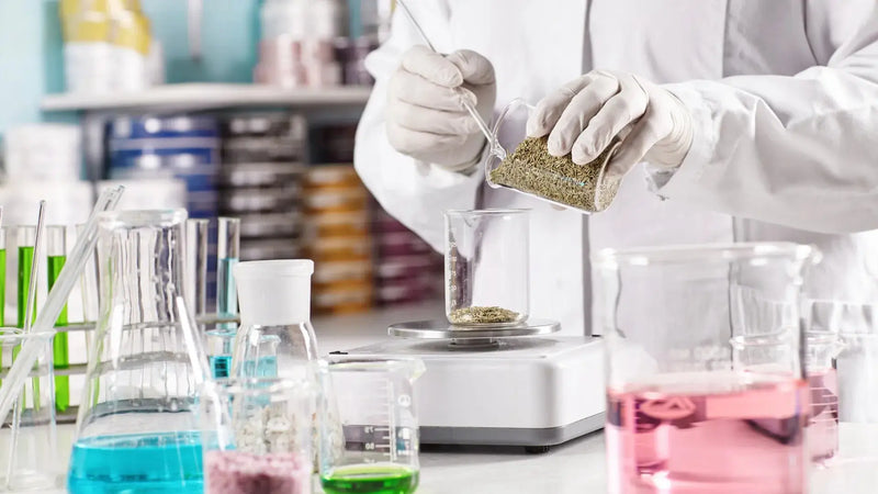The Cosmetic Challenge Test (Preservative Efficacy) Explained